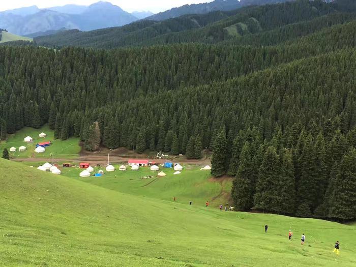 新疆最美的南山风景, 这里的景色让你流连忘返!