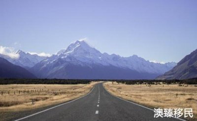 ​千万不要去新西兰留学，过来人的我肠子都悔青了