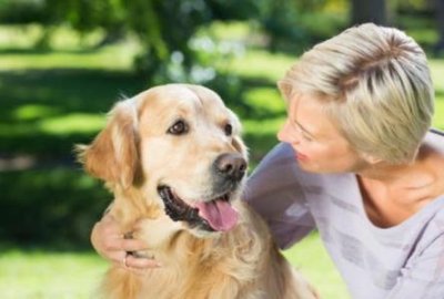 ​杜高犬看家护卫杜高犬护主