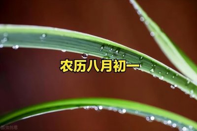 ​“最怕八月初一下雨”，明日八月初一，下雨有啥说法？看农谚咋说